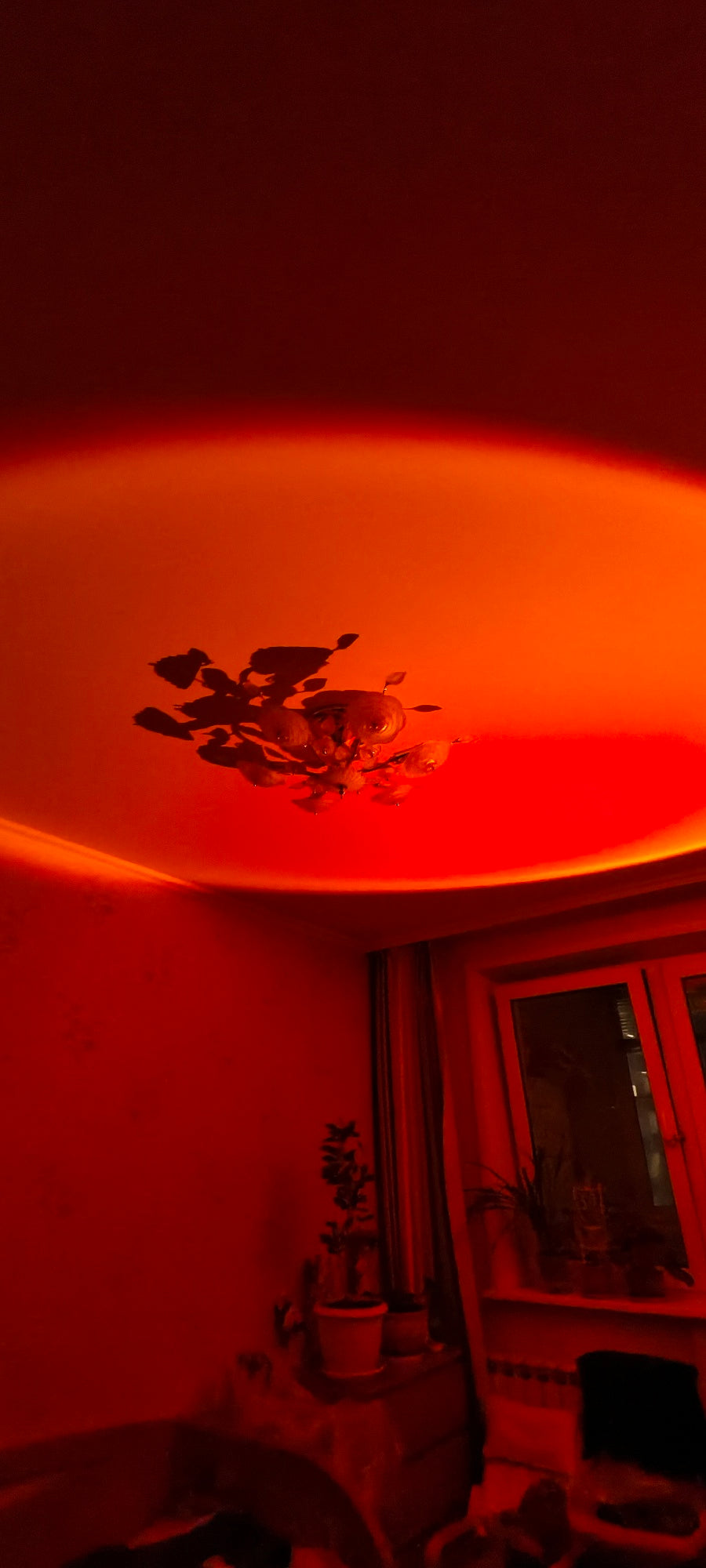 Sunset Projection Lamp