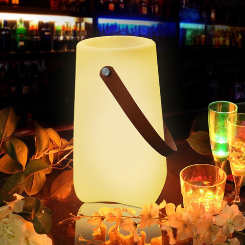 Color LED Vase Night Light
