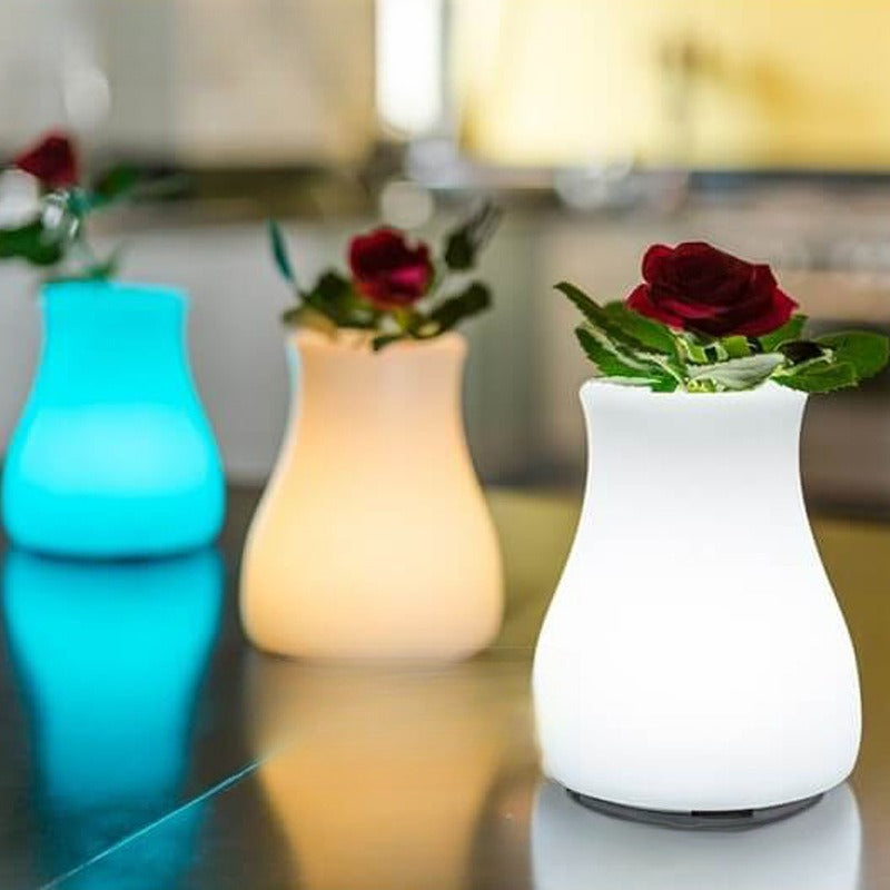 Color LED Vase Night Light